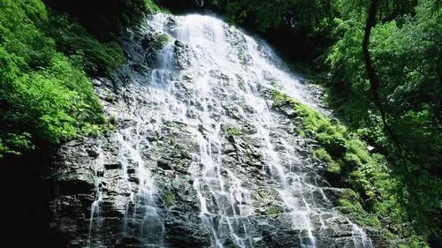 先进高性能